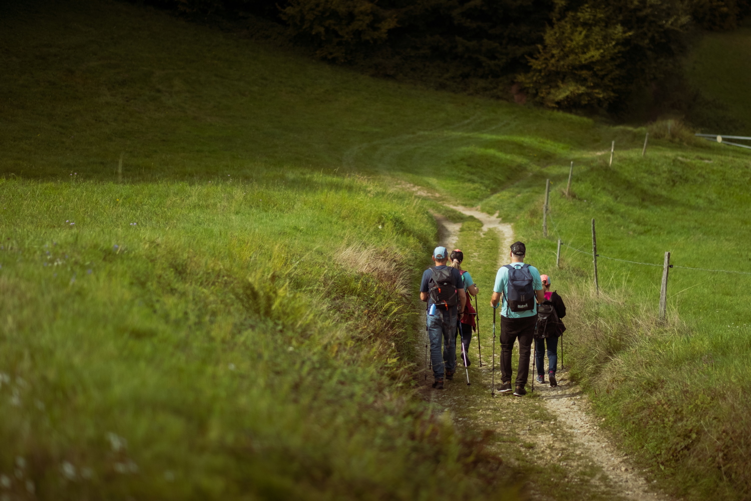 photosFeed-https://static.apidae-tourisme.com/filestore/objets-touristiques/images/199/32/42279111.jpg