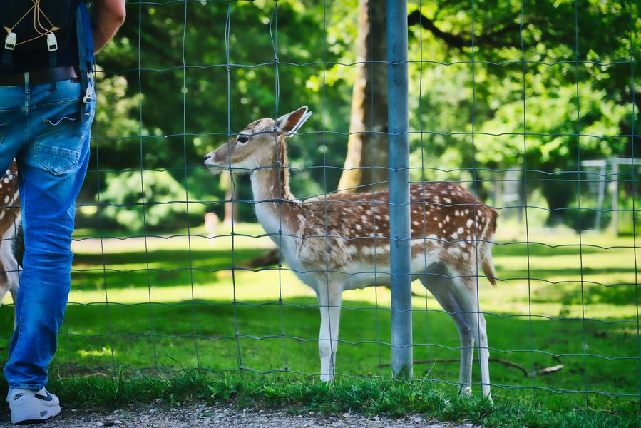 Le Parc des Dronières_Cruseilles