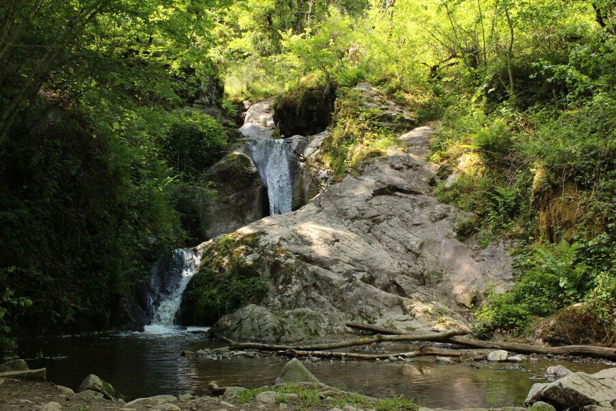 Les trois cuves de Chambonnet