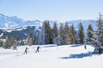 Le domaine nordique des Saisies entre clairières et forêt