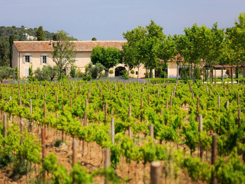 Domaine de Valdition - photo 5