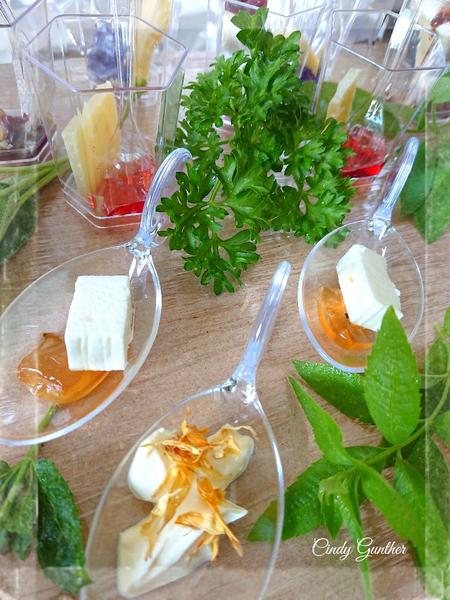 Cindy Gunther - Artisan du Tourisme