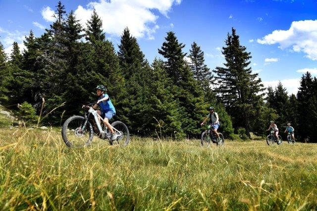 Chamrousse tour by Electric mountain bike