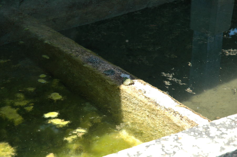 Lavoir Passins - OTSI Morestel