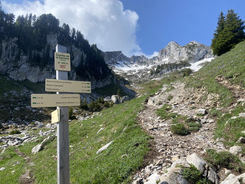 Randonnée pédestre : La Petite Sambuy via la piste forestière_Faverges-Seythenex
