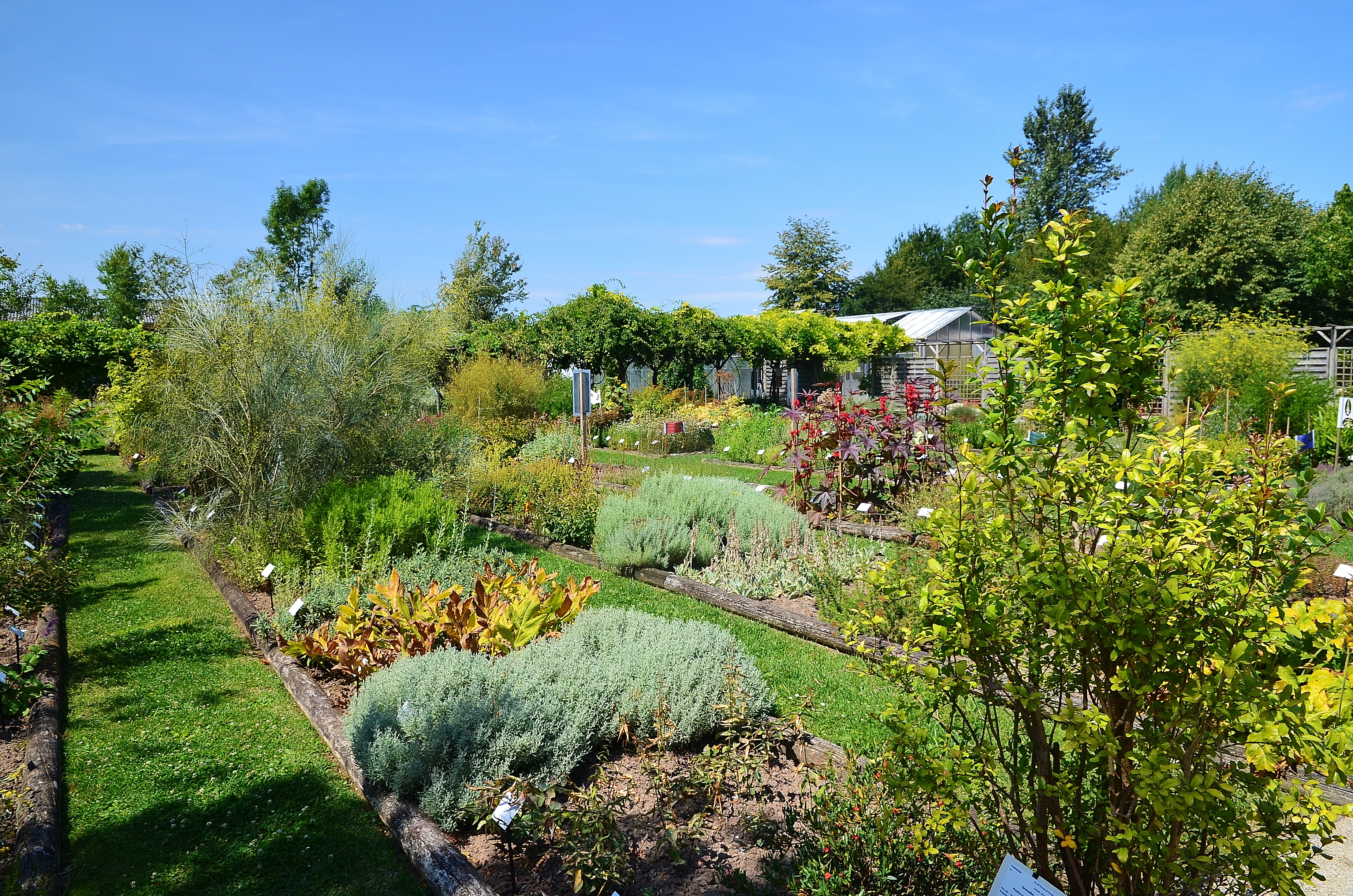 Conservatoire des Plantes