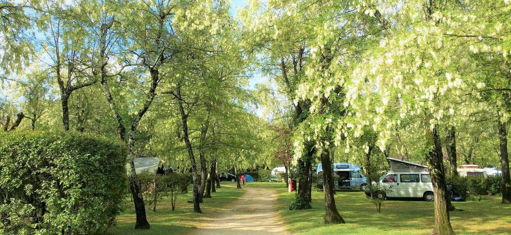 Aire de service/accueil camping-car au camping la Digue