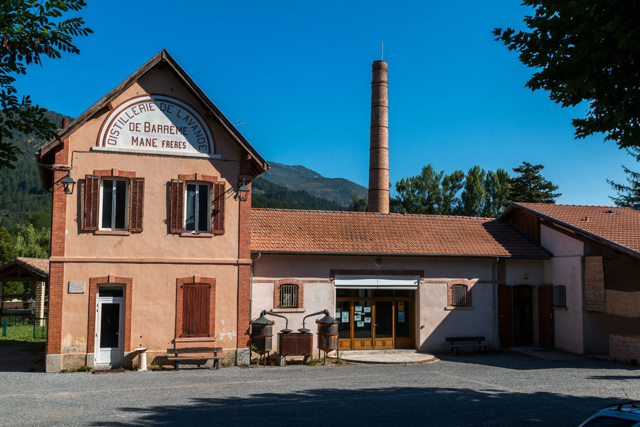 Visite guidée du musée de la distillerie