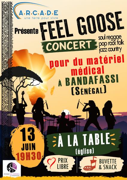 Soul Rock Pop Reggae Jazz country -Une soirée solidaire en musique et chansons proposée par l'Association ARCADE