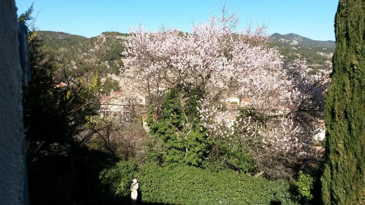 Les Cyprès, Auriol - photo 21