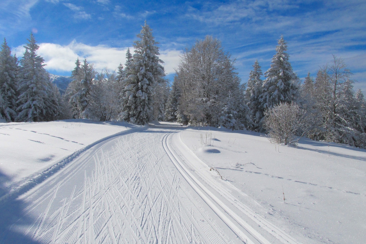 Escapade initiation au Ski de Randonnée Nordique