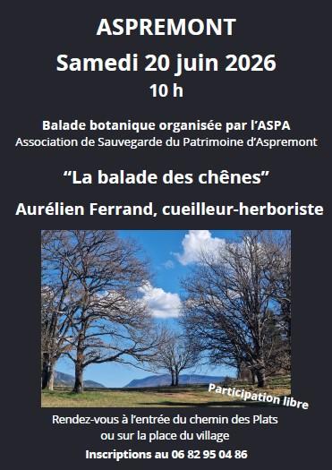 Balade Botanique : « La balade des chênes »