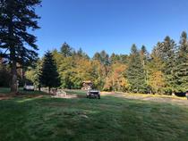 Chiens de traîneaux - Dubost nature_La Chambonie