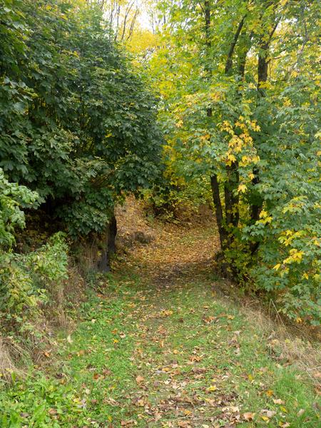 Sentier géologique - balade autour de Villard-Reculas_Villard-Reculas