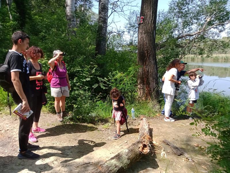 Le printemps fête la nature à l’Île vieille_Mondragon