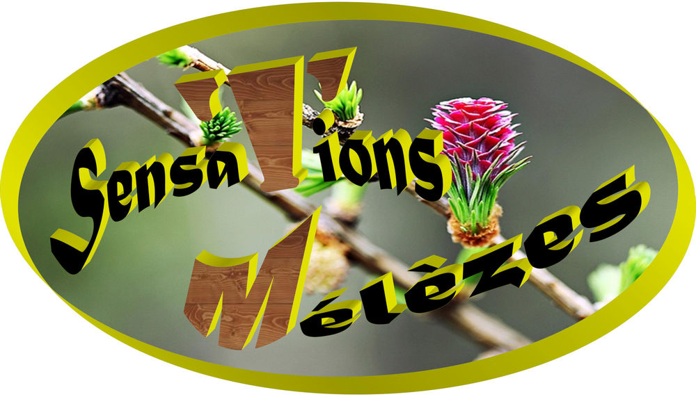 Logo sensations mélèzes - © sensation mélèzes