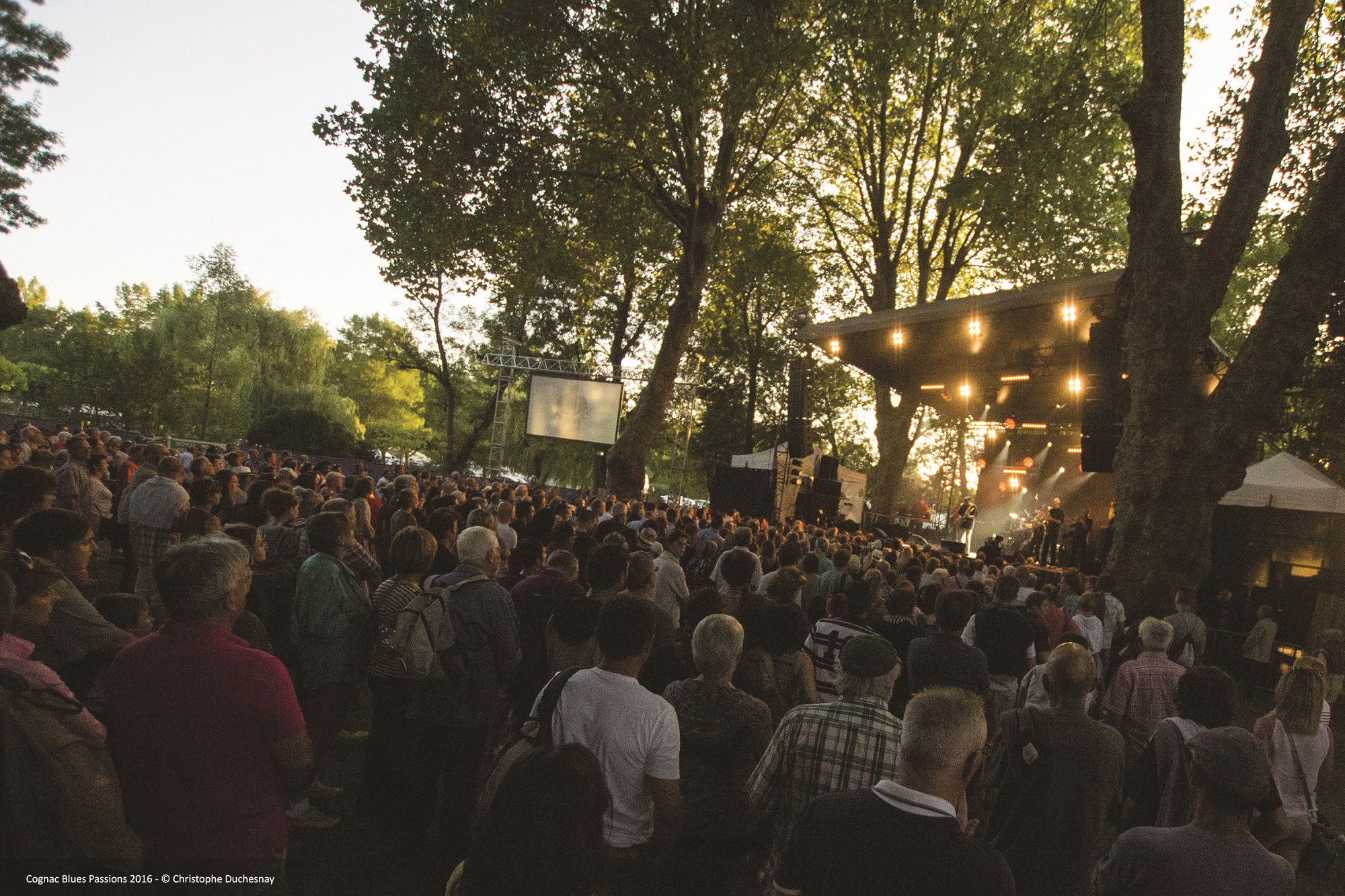 Festival | Cognac Blues Passions