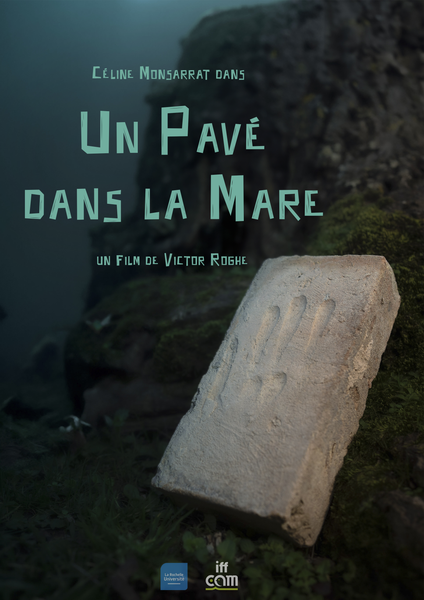 Affiche du film Un pavé dans la mare