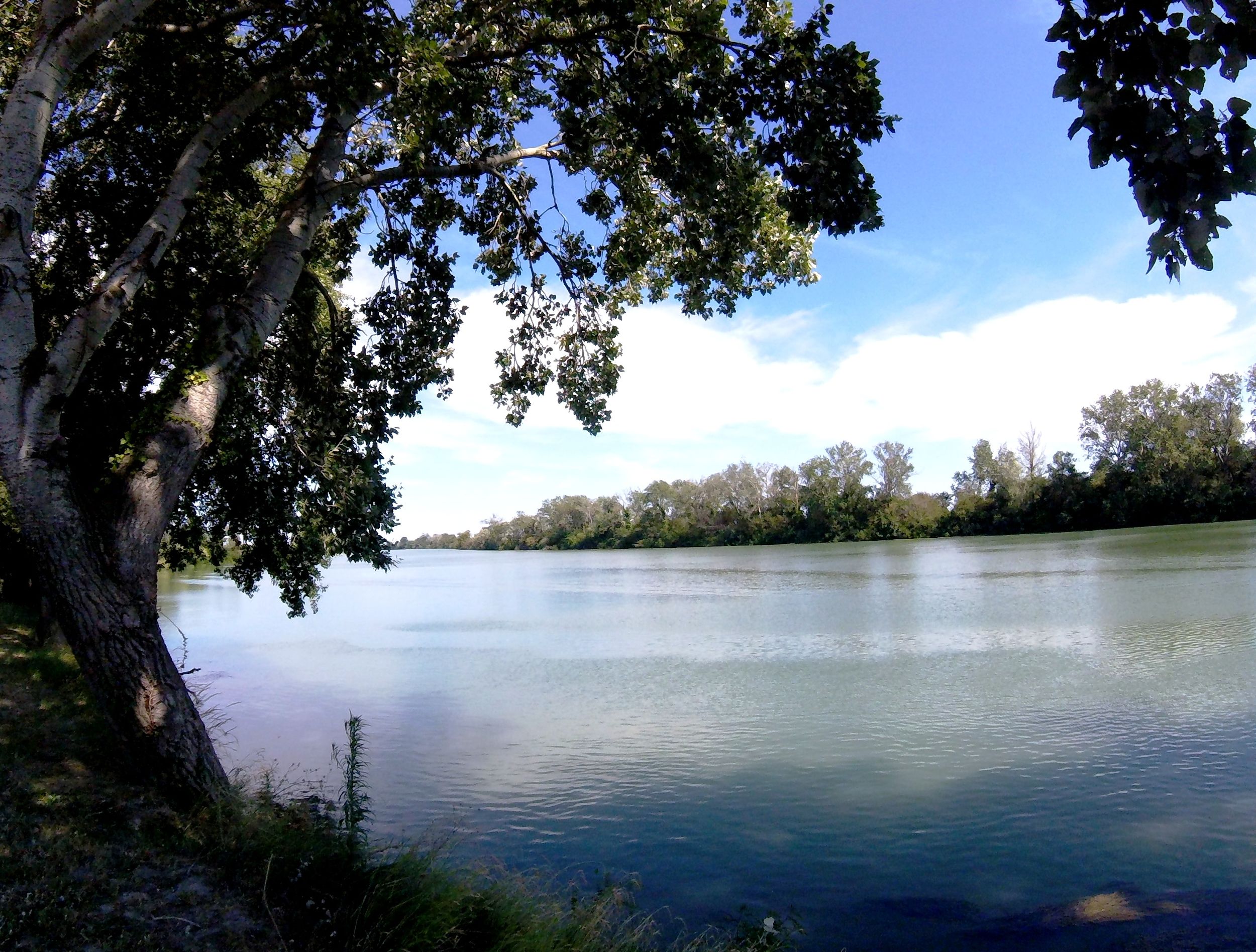ARLES - La digue du Petit-Rhône