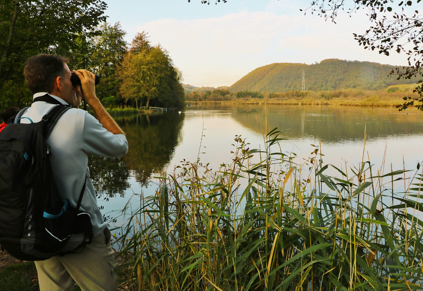 Parcours pédestre sur le sentier d'interprétation de la tourbière de Charamel - Panossas