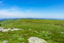 Randonnée montagne et pastoralisme : la rando 