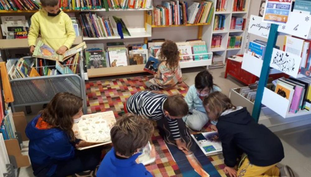 Bibliothèque_La Souche