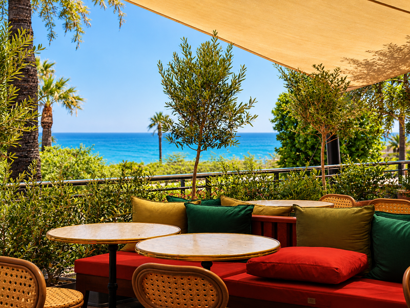 Olea_Villeneuve-Loubet