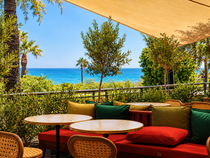 Olea_Villeneuve-Loubet
