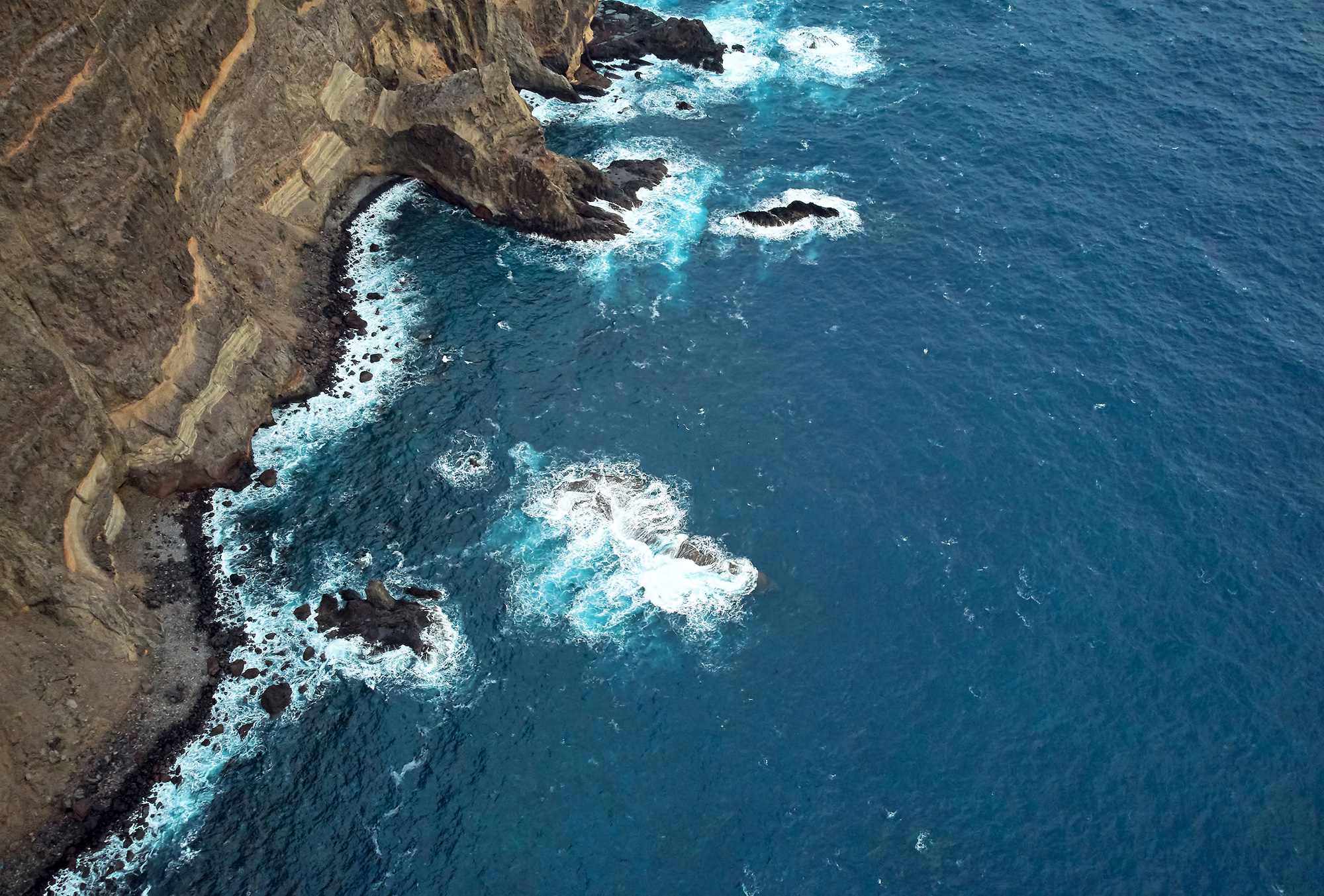 Conférence : L'océan, régulateur du climat, foyer de biodiversité