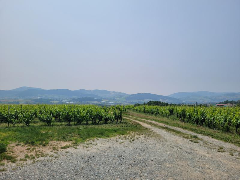 Dégustation de cuvées bio & biodynamiques_Sarcey