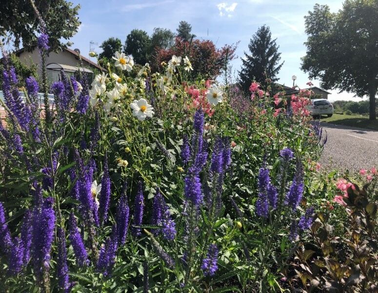 Fleurissement dans la Commune de Saint Vulbas