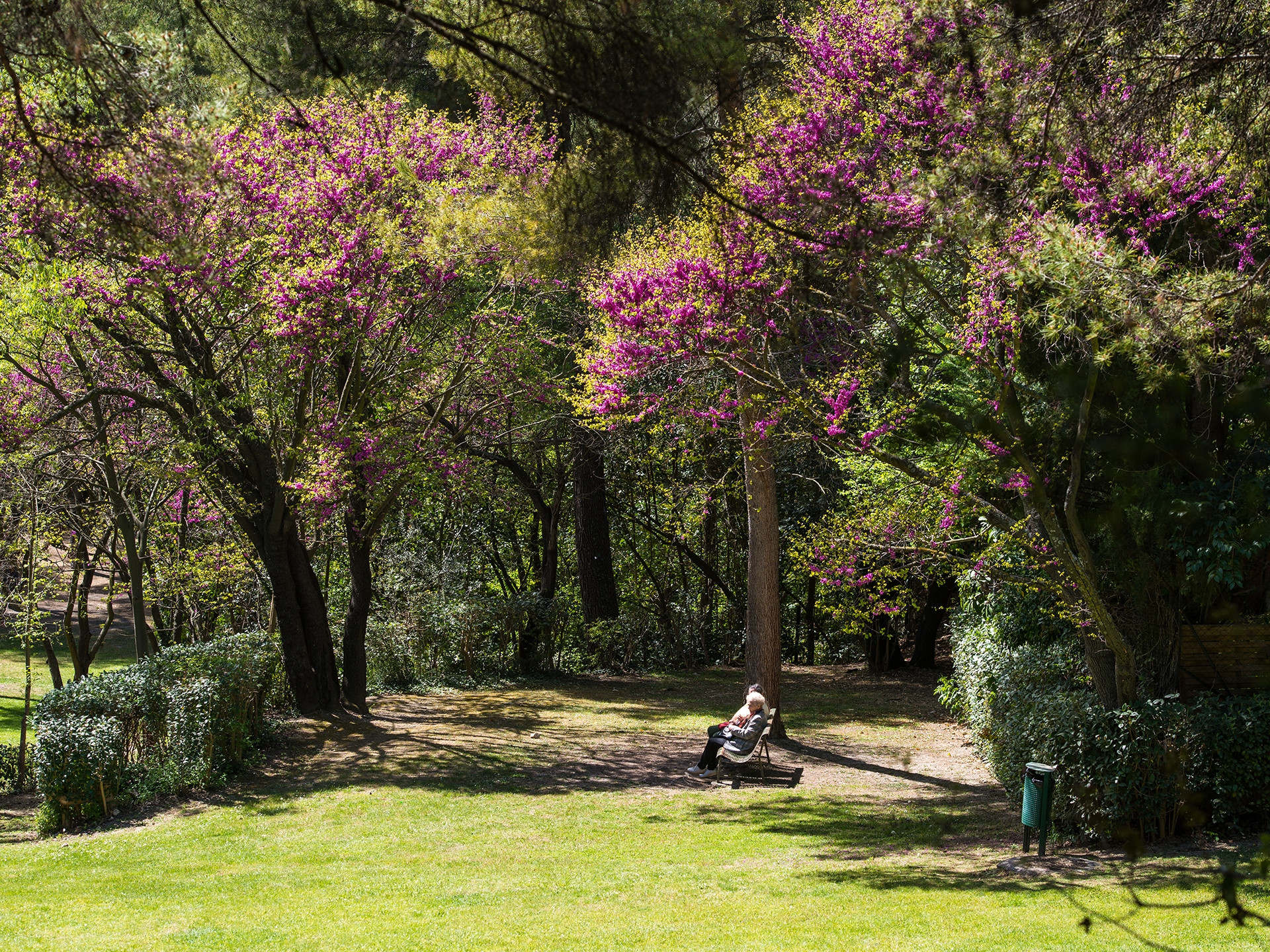 Parc des Collines de Cuques