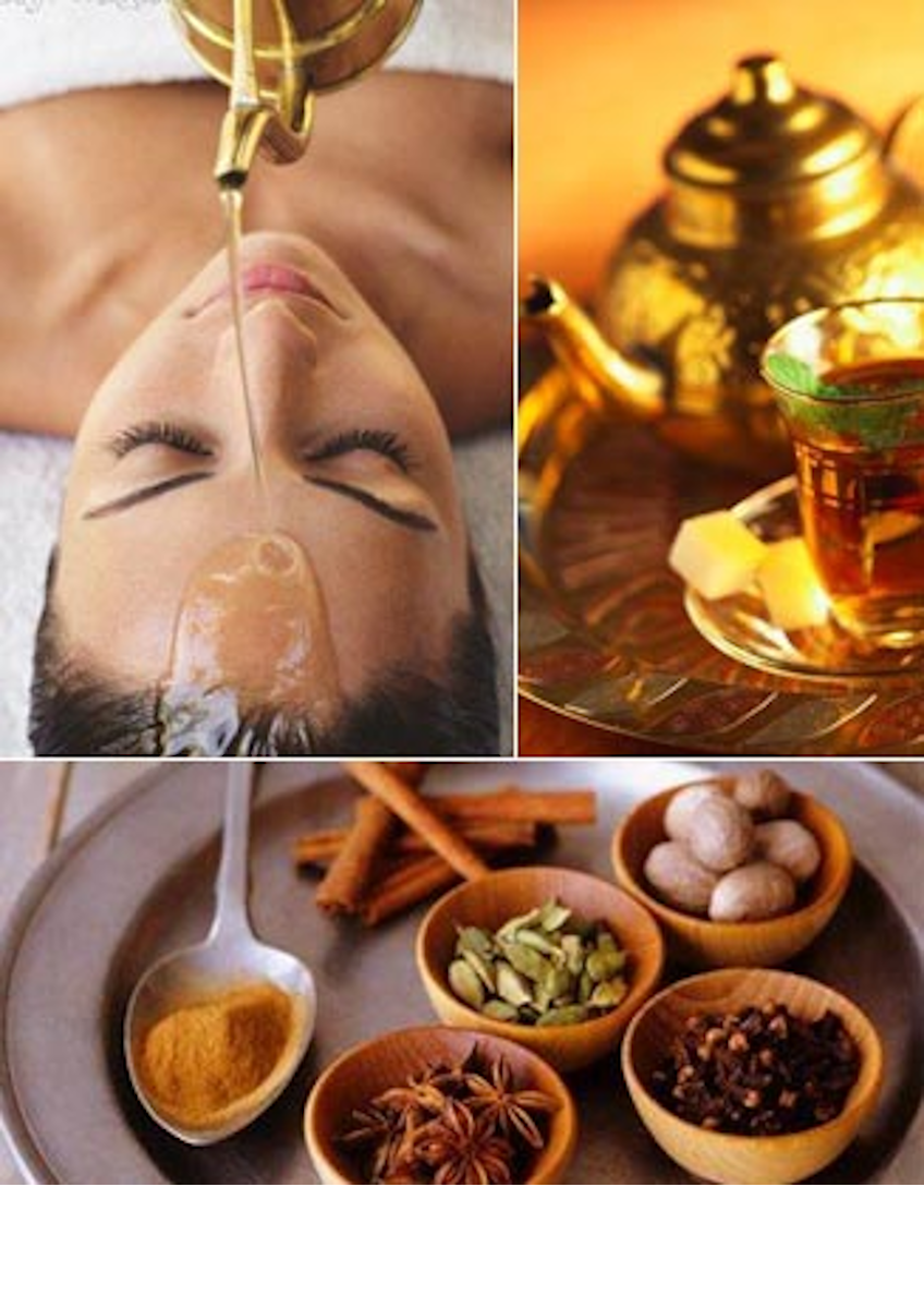 Conférence sur l'Ayurveda