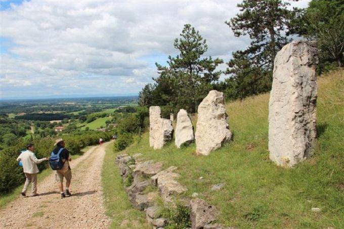 Circuit VTT n°11 (bleu) - Tour de la Forêt de la Motte  - Site du Grand Brûle_Val-Revermont