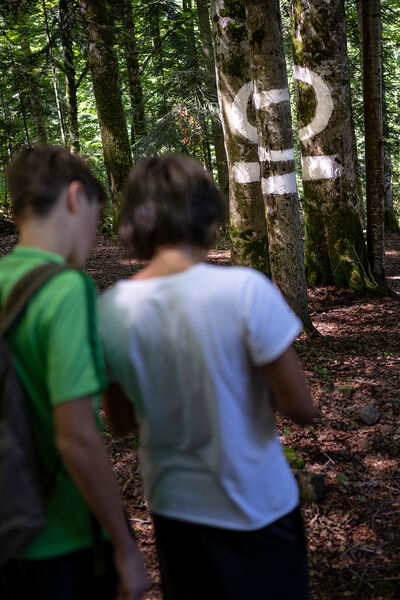 escape game nature 3