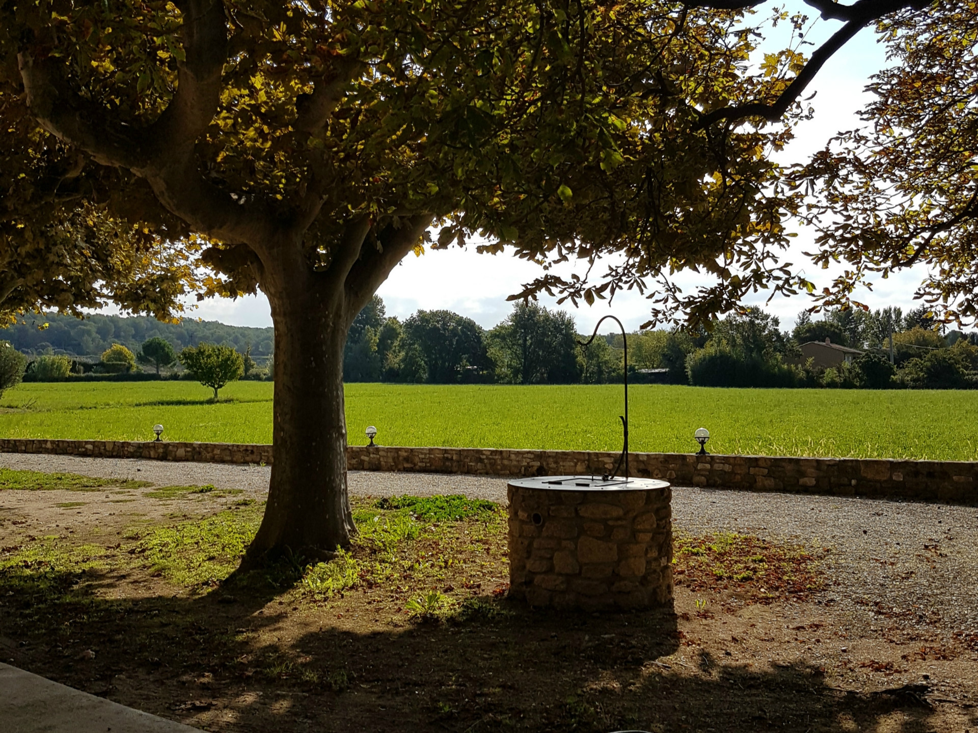 Le Petit Lys, Cornillon-Confoux - photo 3