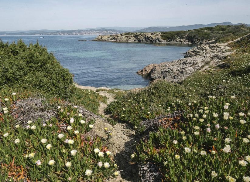 Visite guidée : Les Embiez, l'île au trésor anisé_Six-Fours-les-Plages