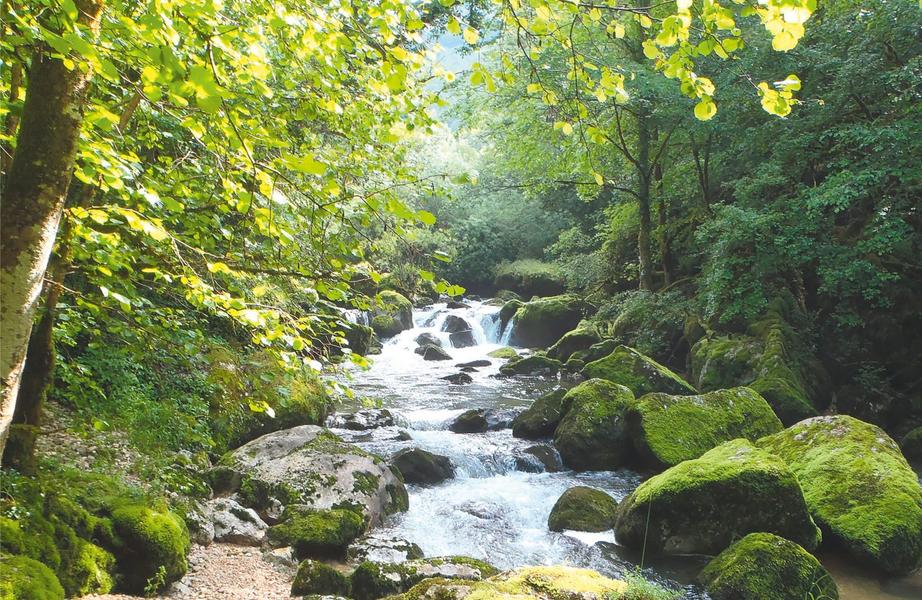 Rallye découverte: retour aux sources