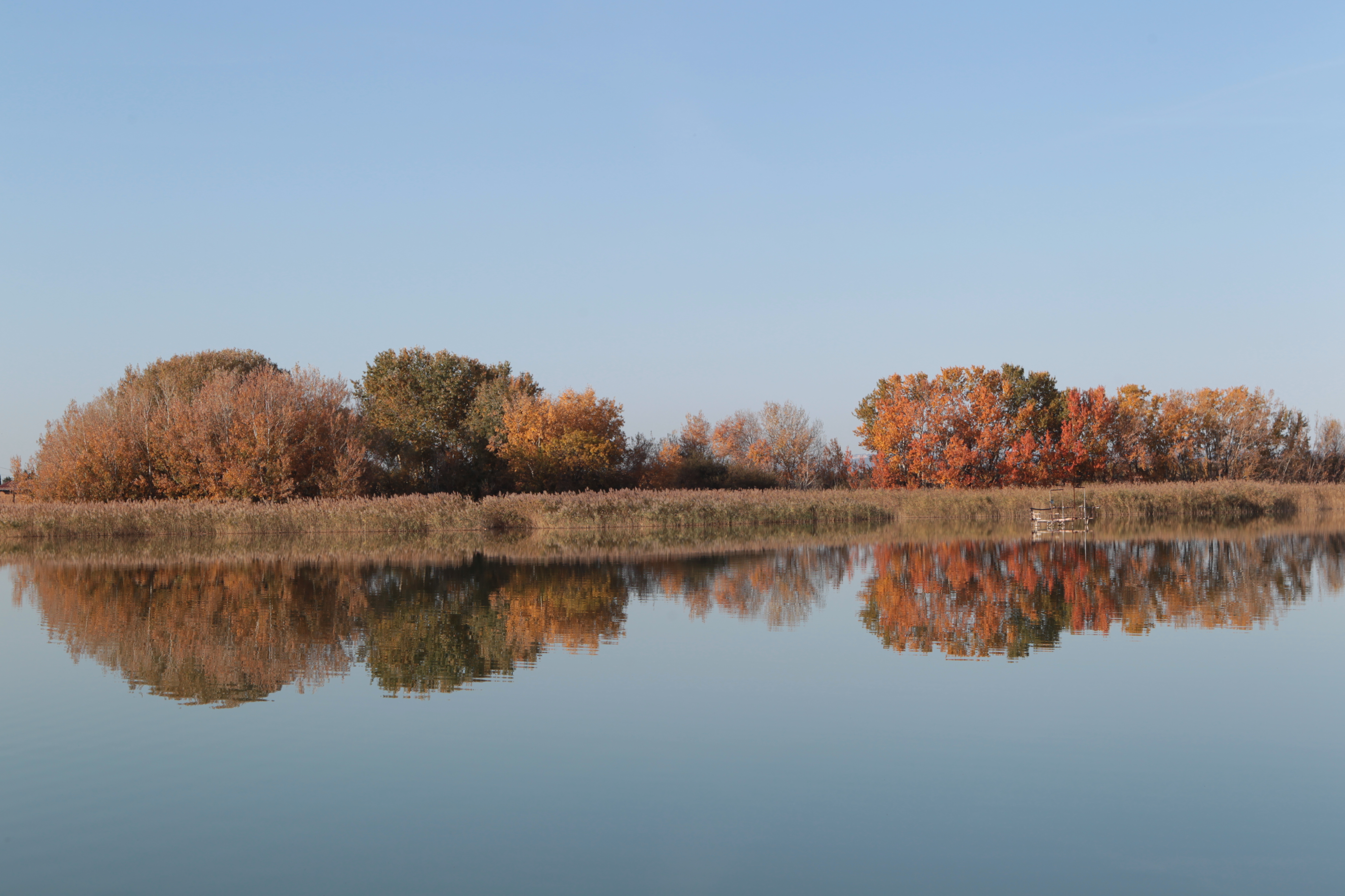 Etang d'Entressen, Istres - photo 3