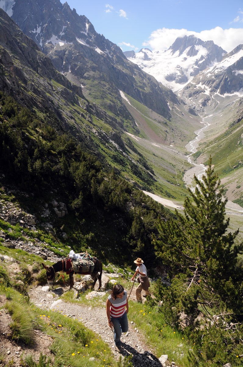 Au fond le glacier de la Pilatte