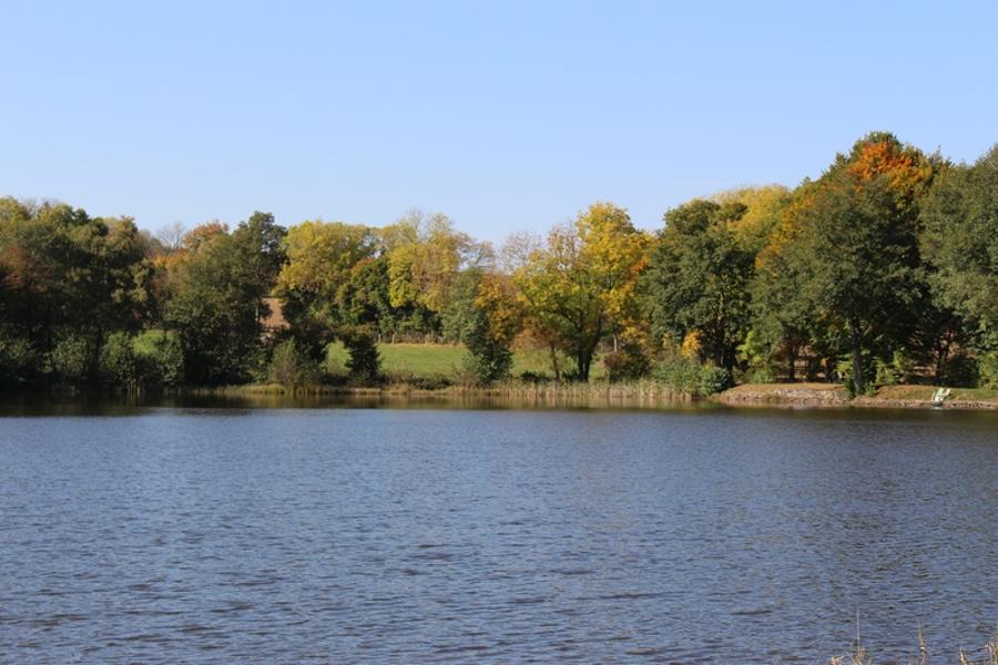 Site de pêche - Étang de Lachamp