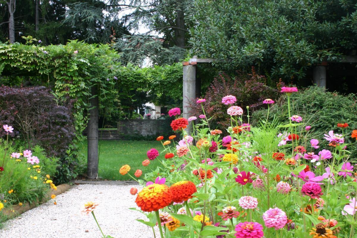 Le Jardin d'Alice