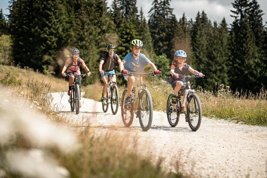 Piste rouge VTC L'Hansen_Le Revard