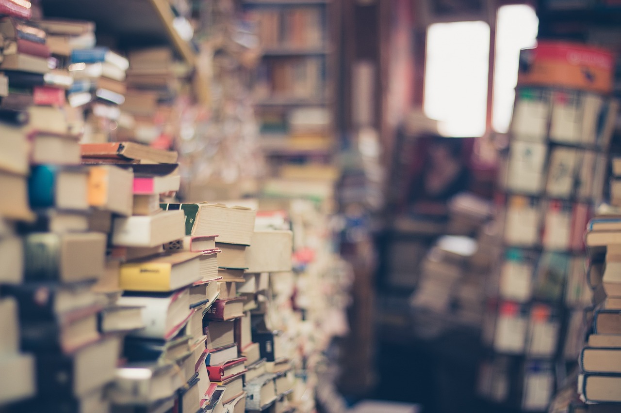 Saint-Palais-sur-Livres - Mardis des bouquinistes