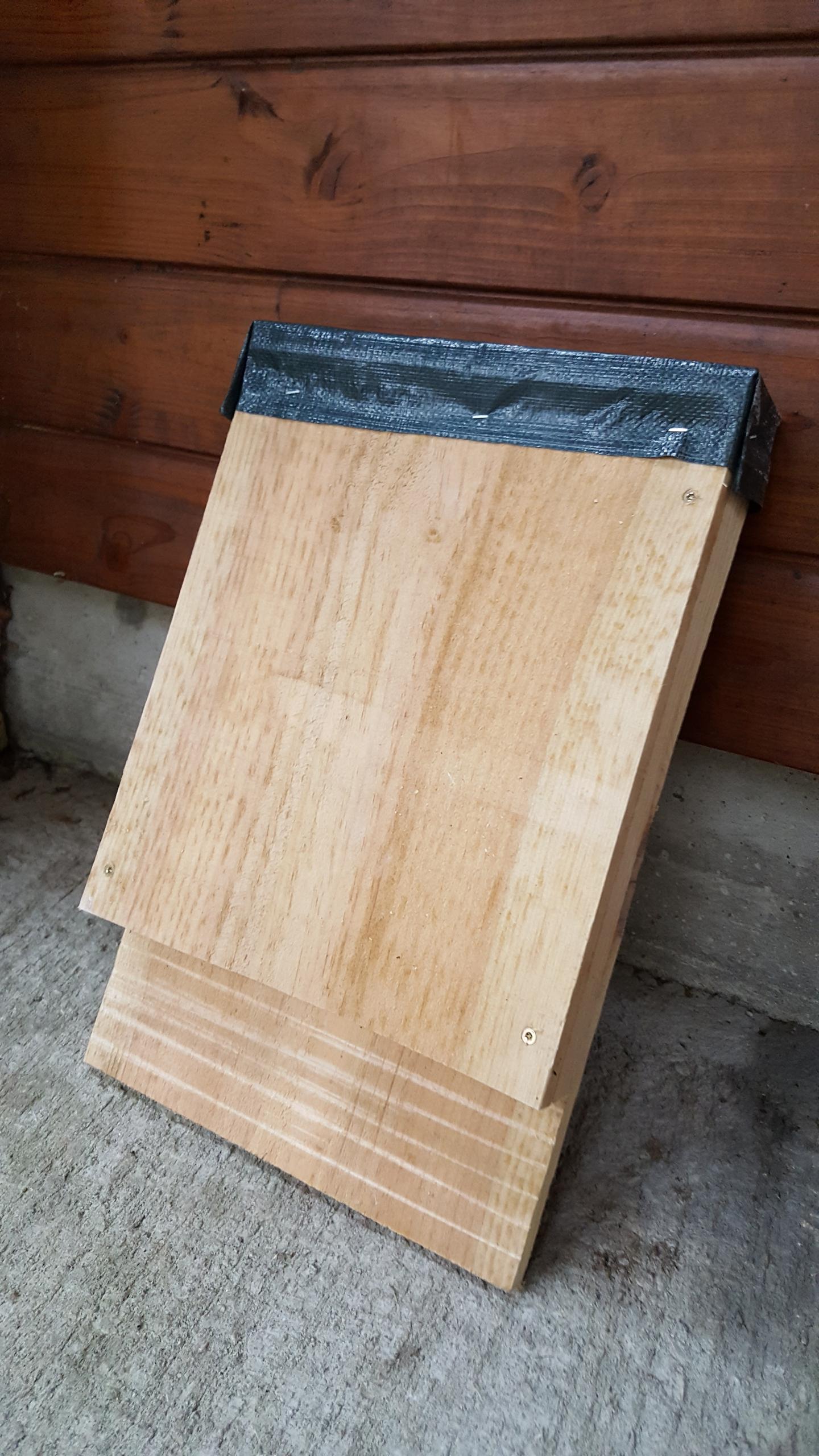 A la découverte des chauves-souris