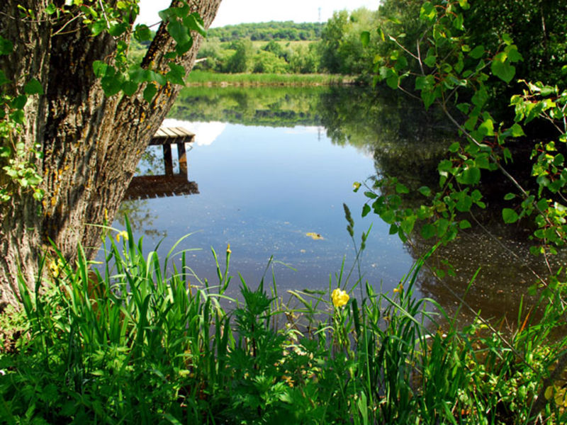 Réserve Naturelle Régionale de Jarrie