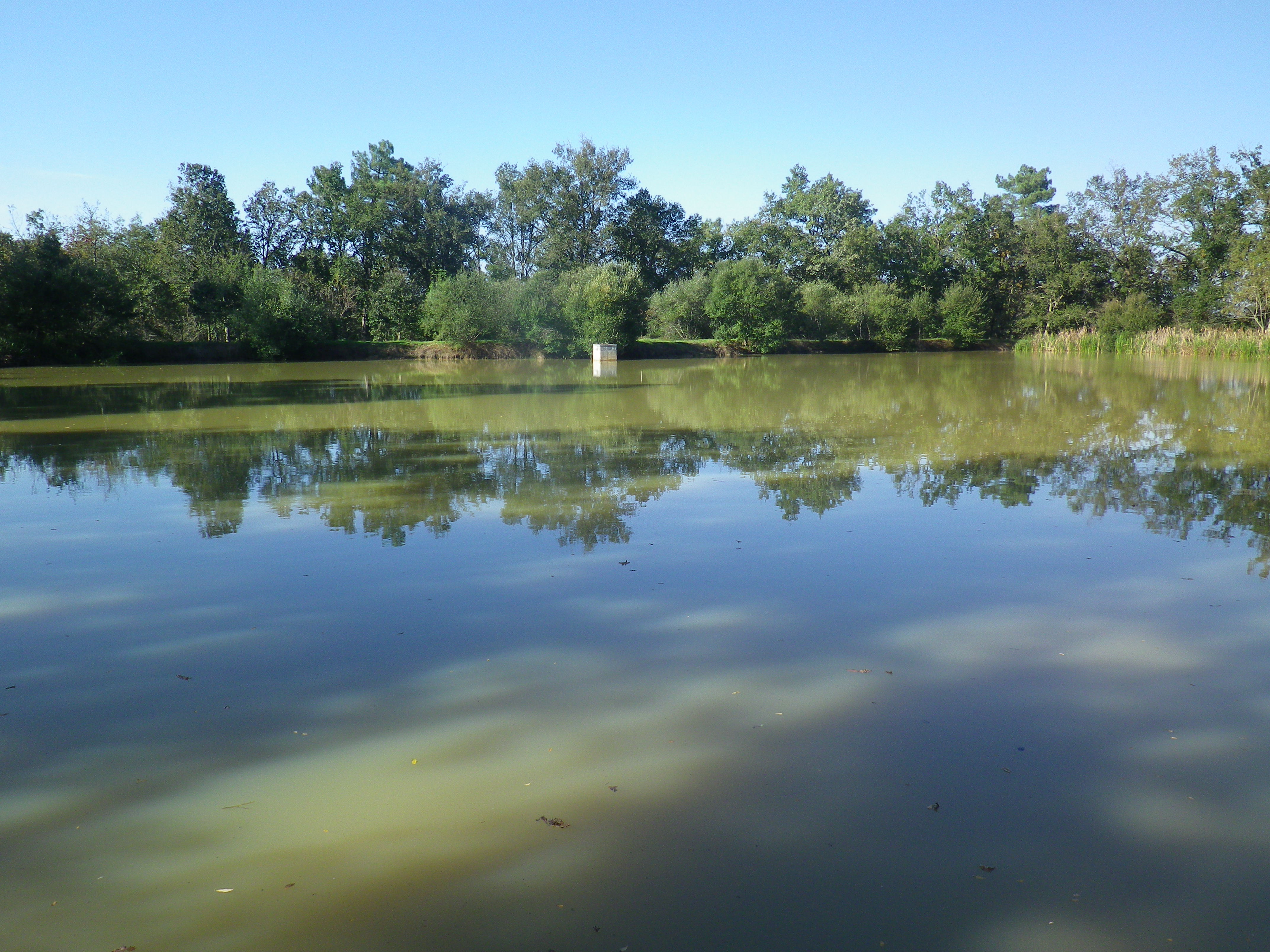 Etang de pêche de Chardes