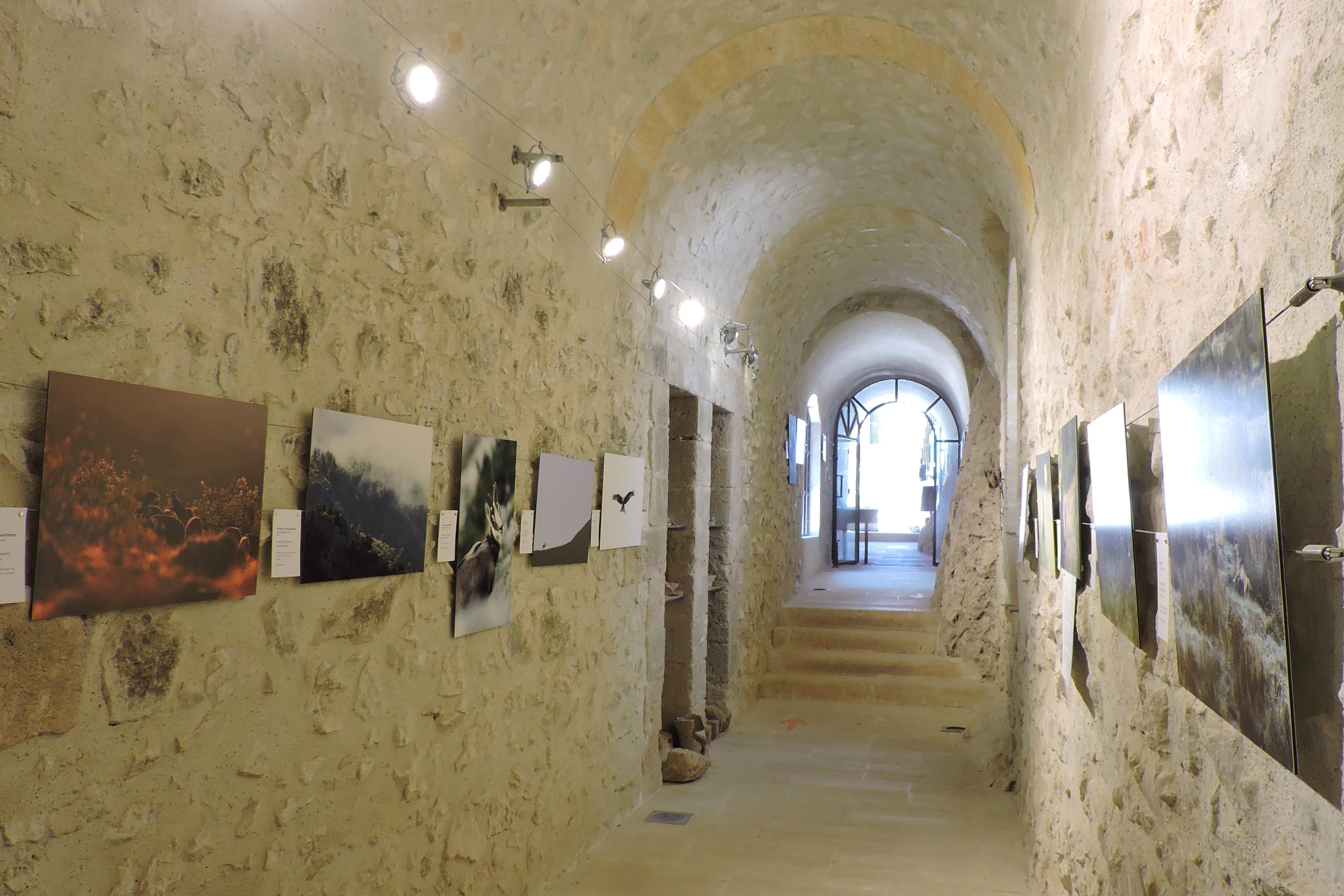 "Versant Sauvage" - Exposition photo animalière et randonnée commentée