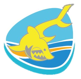 Royan Océan Club Natation