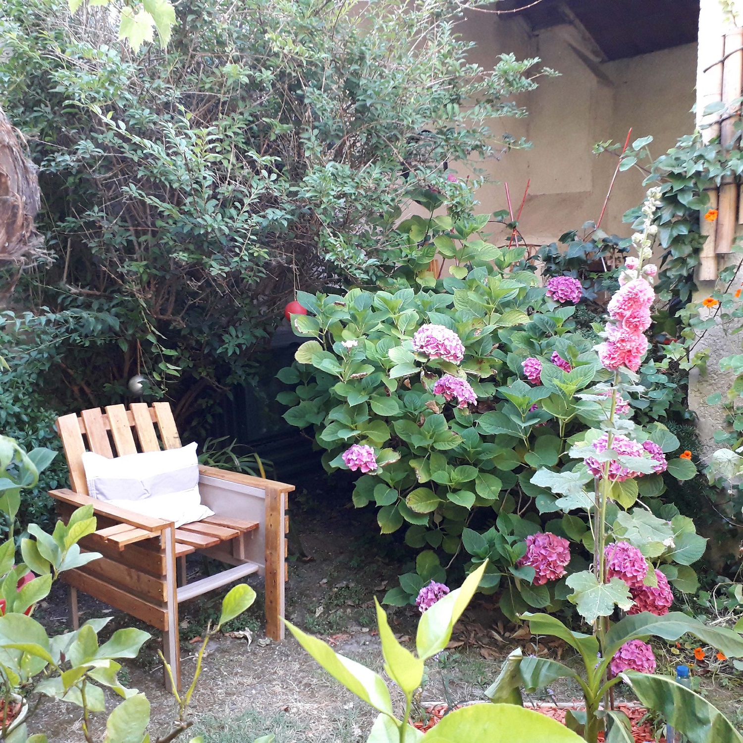 Sous la treille - photo 5